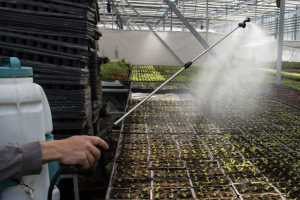 El plazo de inscripción permanecerá abierto hasta el 8 de septiembre.