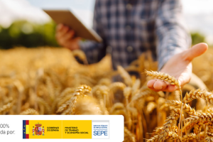 El Ministerio de Trabajo y Economía Social subvenciona una convocatoria de cursos 100 % online y gratuitos.