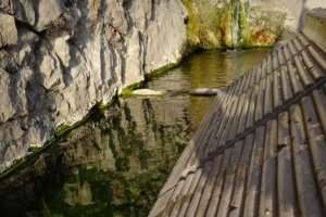 Aguas termales de Sierra Alhamilla, en una publicación de David Bisbal.
