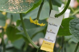 MONcontrol Plus de Agrobío, una evolución innovadora para el manejo sostenible de plagas.