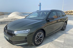 El modelo Skoda probado junto a la ballena del pequeño Gabriel