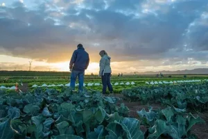 Rijk Zwaan en Fruit Attraction.