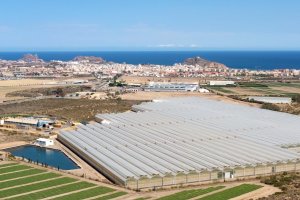 Instalaciones de Looije en el campo de Águilas.
