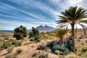 El "salvaje paisaje semidesértico del Cabo de Gata" se extiende hasta la costa.