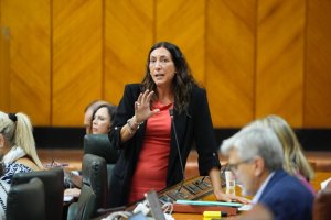 Loles López.

REMITIDA / HANDOUT por JOAQUÍN CORCHERO/PARLAMENTO DE ANDALUCÍA
Fotografía remitida a medios de comunicación exclusivamente para ilustrar la noticia a la que hace referencia la imagen, y citando la procedencia de la imagen en la firma
09/10/2025