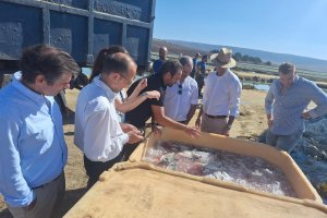 La Consejería de Agricultura recibe a una delegación del gobierno 
húngaro interesada en conocer la experiencia andaluza.