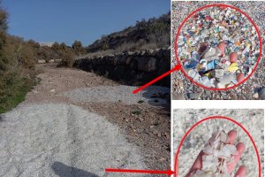 ECOLOGISTAS EN ACCIÓN