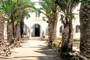 Paseo rodeado de palmeras de la Casa del Cortijo Grande antes de quedar abandonada. Año 1970.