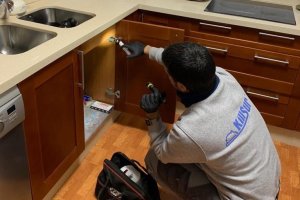 Un técnico de Killsur, especializado en desinfección y control de plagas, aplica un tratamiento preventivo en el interior de una vivienda, garantizando entornos seguros y saludables para sus habitantes.