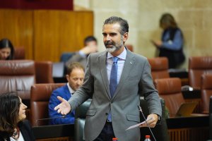 El consejero de Agricultura, Pesca, Agua y Desarrollo Rural, Ramón Fernández- Pacheco.