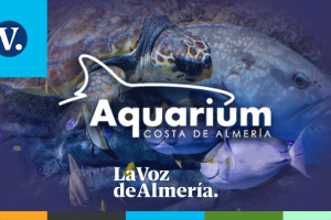 SORTEO-AQUARIUM