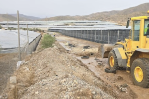 La Junta activa 33,5 millones para rescatar al campo andaluz tras los desastres.