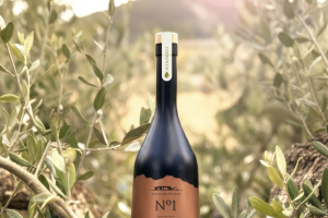 Venta Puerto N1 La Viña.