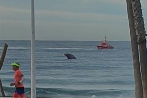 Los bañistas y viandantes contemplaron como emergía del mar la mitad de una estructura oscura.