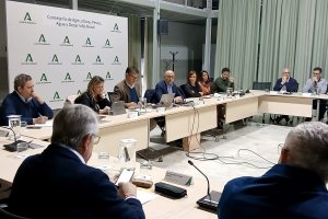 Consejo Andaluz del Olivar