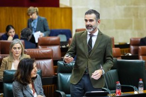 El consejero de Agricultura, Pesca, Agua y Desarrollo Rural, Ramón Fernández-
Pacheco, en el Parlamento de Andalucía