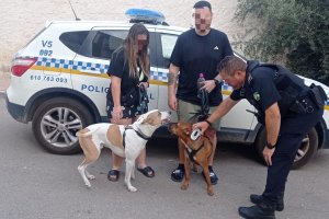 Agentes comprobando el chip de un perro en Huércal-Overa.