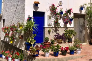 Lucainena de las Torres.