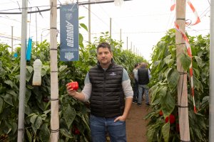 El campo almeriense respalda a ‘Arquero’: CapGen Seeds consolida en El Ejido su nueva línea de "Guardianes" para pimiento