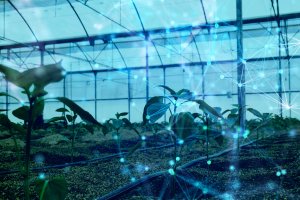 ¿Por qué no puede ser Almería el Silicon Valley de la nueva Agricultura mundial?