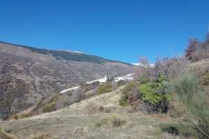 EUROPA PRESS - Archivo