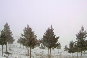Las inmediaciones de Calar Alto, cubiertas de nieve en la tarde de este lunes.