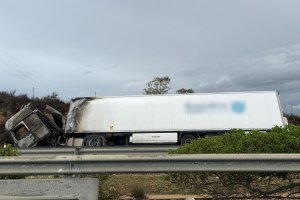 Camión volcado en la A-7 a la espera de ser retirado