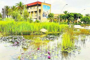 Vista de uno de los estanques naturalizados de la Universidad de Almería