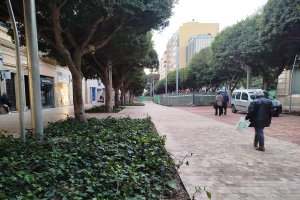 Imagen del Paseo de Almería