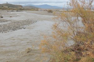 Así baja este miércoles el Andarax a su paso por Rioja y Pechina.