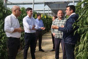 El concejal de Agricultura, Manuel Martínez, junto al delegado territorial de Agricultura de la Junta de Andalucía en Almería, Antonio Mena.