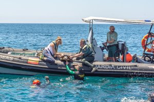 Tortuga devuelta al mar tras la haber recibido asistencia y cuidado de la mano de Equinac.