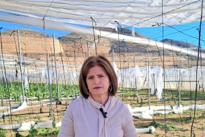 La organización agraria continúa realizando un balance exhaustivo de los daños que los sucesivos temporales de los últimos meses han ocasionado en el sector agrario de la provincia.