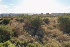 Paraje Venta el Cholas, en Albox, escenario del crimen de la mujer violada y rapada por celos.