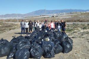 EL ÁRBOL DE LAS PIRULETAS