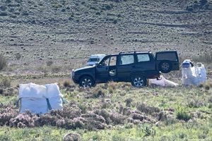 Imagen hecha pública por Amigos del Parque Natural Cabo de Gata-Níjar.