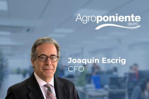 Joaquín Escrig Teigeiro como nuevo Director Financiero Grupo Agroponiente.