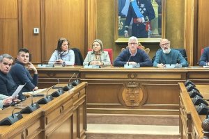 Junta General del Consorcio del Sector II.