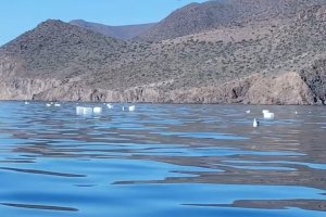 Captura del vídeo con las decenas de garrafas de plástico flotando.