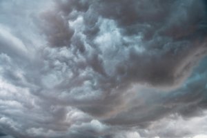 Los agricultores y ganaderos jóvenes, más vulnerables ante los daños