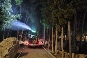 Fumigación contra la procesionaria en el Parque Adolfo Suárez.