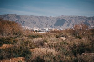 Uso de drones en la lucha contra los mosquitos en Roquetas