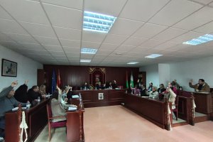 Imagen del pleno celebrado en Vícar.
