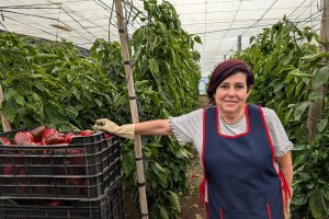 Rosario Milán en uno de sus invernaderos.