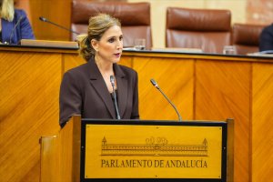 La parlamentaria popular Julia Ibáñez.