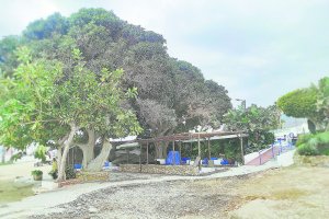 El chiringuito Aku Aku está en obras de remodelación.