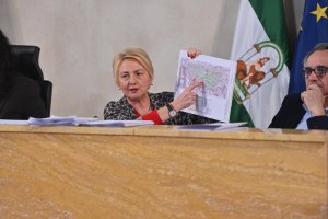 Eloísa Cabrera, concejala de Urbanismo y Vivienda