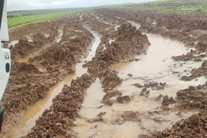 Imagen de los daños de las borrascas.