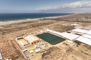 Vista aérea de la desaladora Mar de Alborán en el entorno del Cabo de Gata, una infraestructura clave para el campo almeriense.