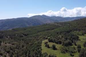 La provincia despliega en estas fechas una red de planes para todos los gustos: patrimonio, naturaleza, ciencia, aventura y escapadas tranquilas pensadas para hacer con niños.